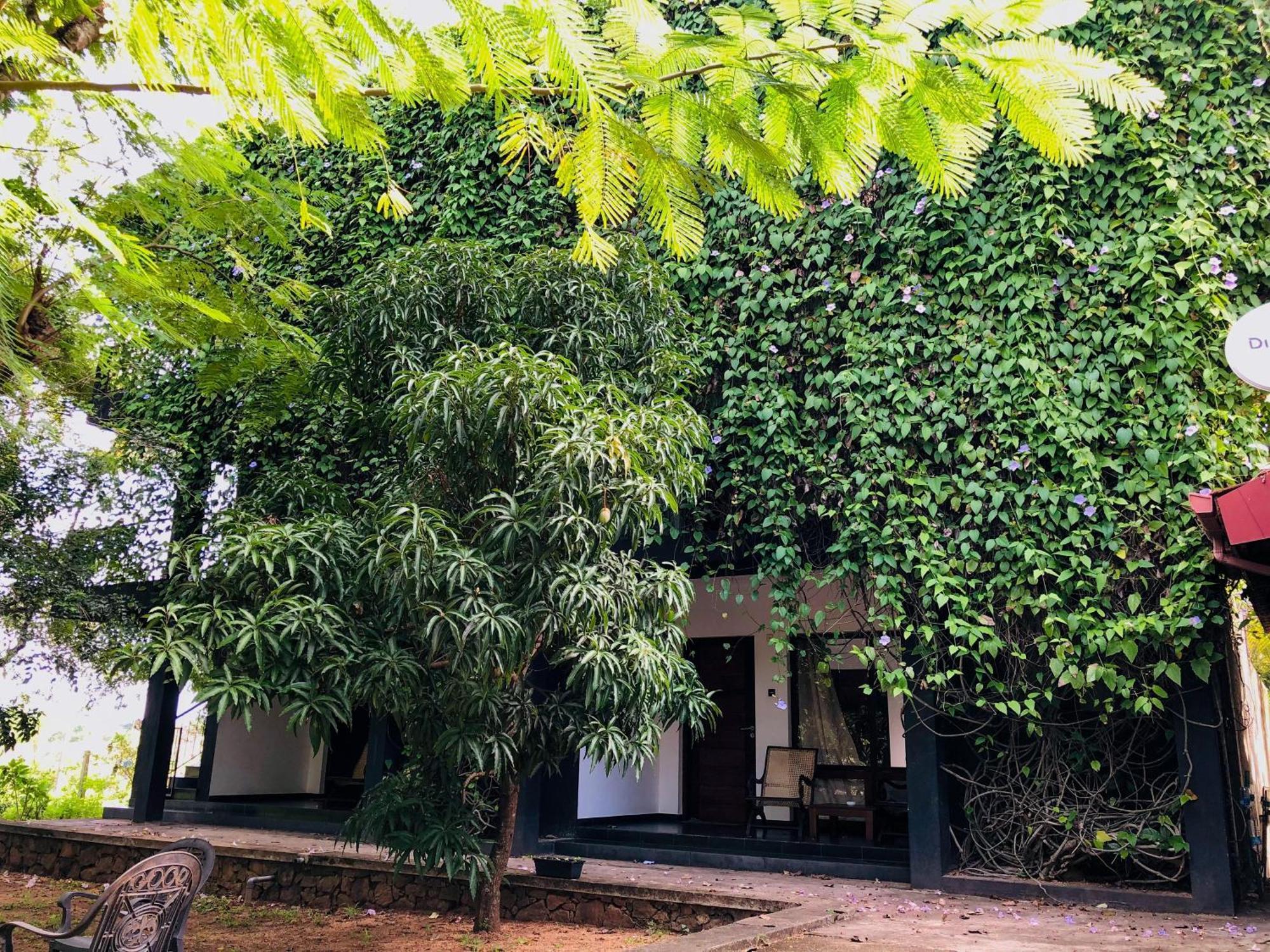 Dambulla Rock Arch Bed & Breakfast Bagian luar foto
