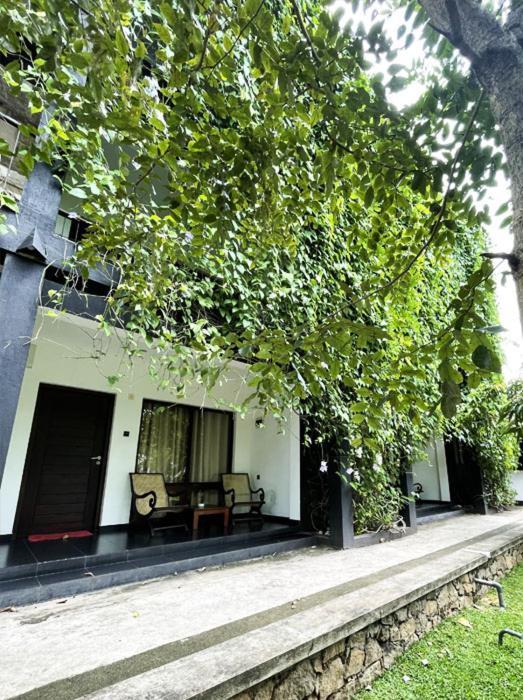 Dambulla Rock Arch Bed & Breakfast Bagian luar foto