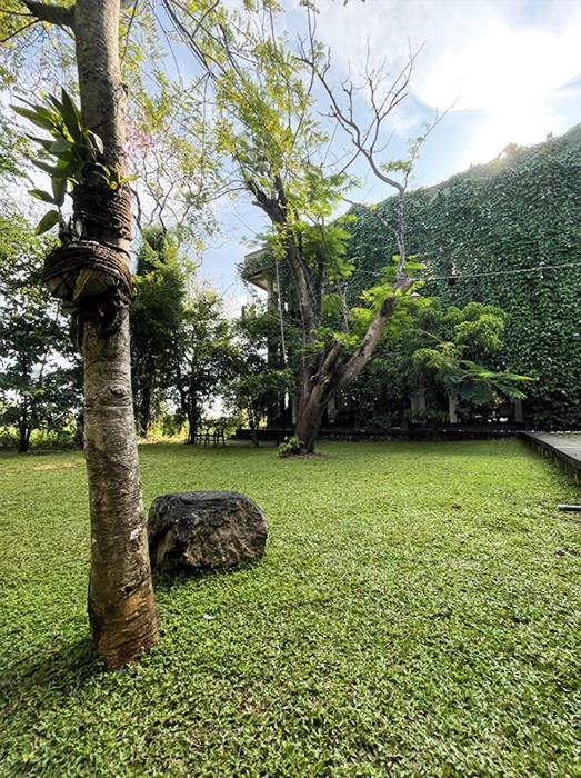 Dambulla Rock Arch Bed & Breakfast Bagian luar foto
